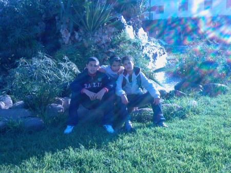 shabi